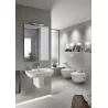 Coppia sanitari sospesi NEW MERIDIAN con sedile originale