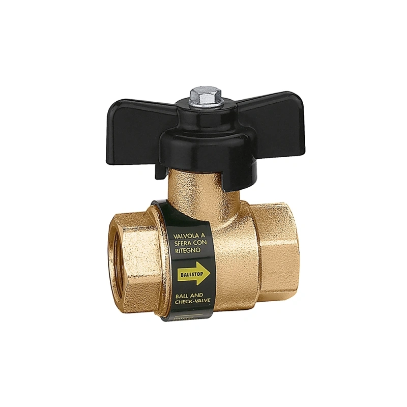 Valvola a sfera femmina femmina con ritegno incorporato Valvola a sfera femmina femmina con ritegno incorporato