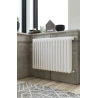 Radiatore tubolare multicolonna in acciaio Ercos modello Comby