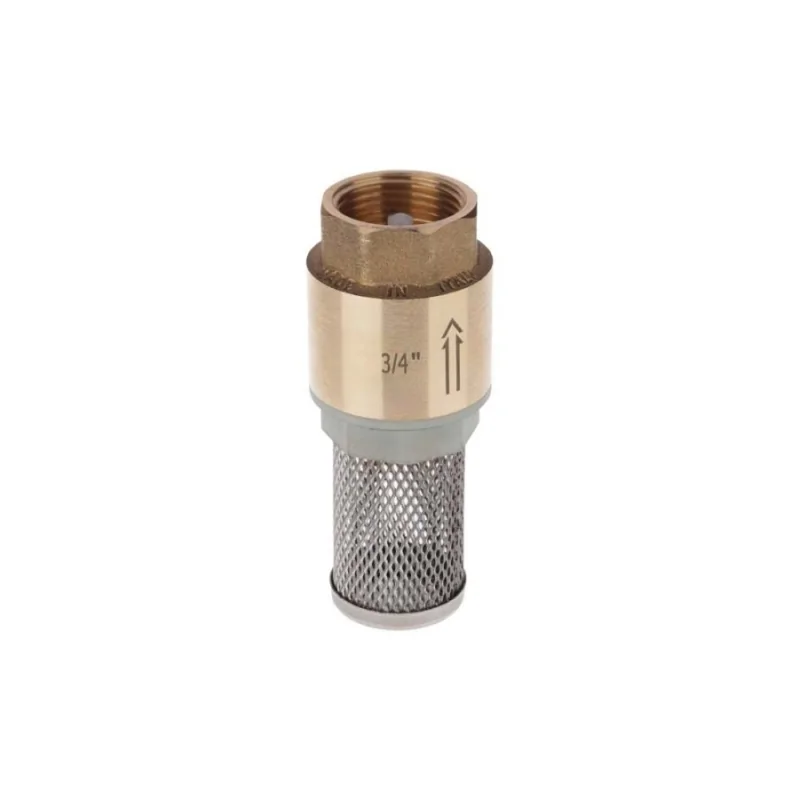 Valvola di ritegno femmina con filtro in acciaio inox Valvola di ritegno femmina con filtro in acciaio inox